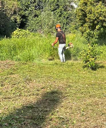 Débroussailleuse professionnelle pour l'entretien des espaces verts