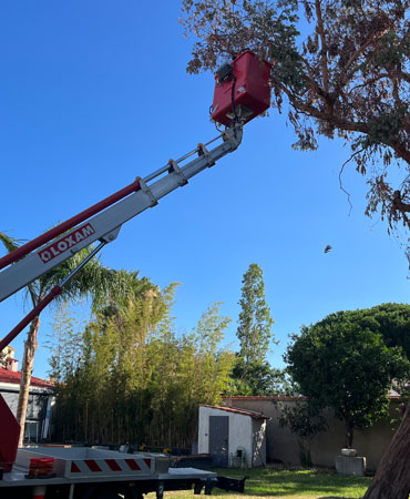 Nacelle élévatrice pour les travaux d'élagage en hauteur