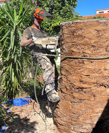 Tronçonneuse professionnelle pour l'abattage et l'élagage